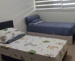 Blk 432 Bukit Panjang Ring Road (Bukit Panjang), HDB 4 Rooms #587851971